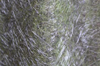 Dingleton fibreglass roof work