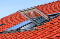 Dingleton roof window