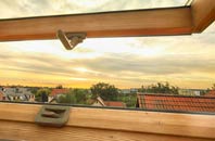 rated Dingleton roof window companies